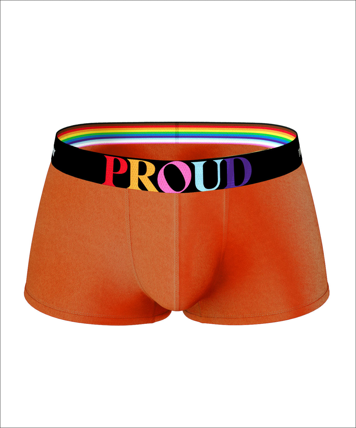Hipster Trunk - PROUD