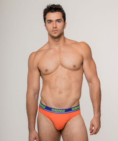 Brief - College