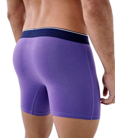 Boxer Brief - Reflections