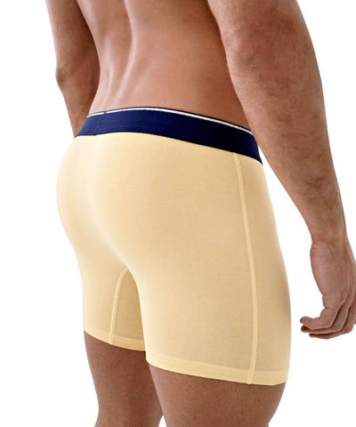 Boxer Brief - Reflections