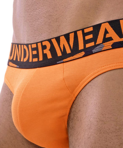 Brief - Army