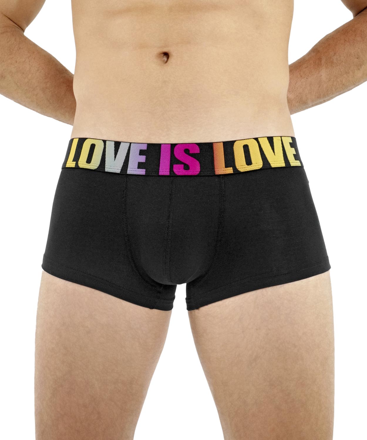 Hipster Trunk - Love is Love