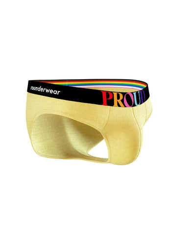 Brief - PROUD